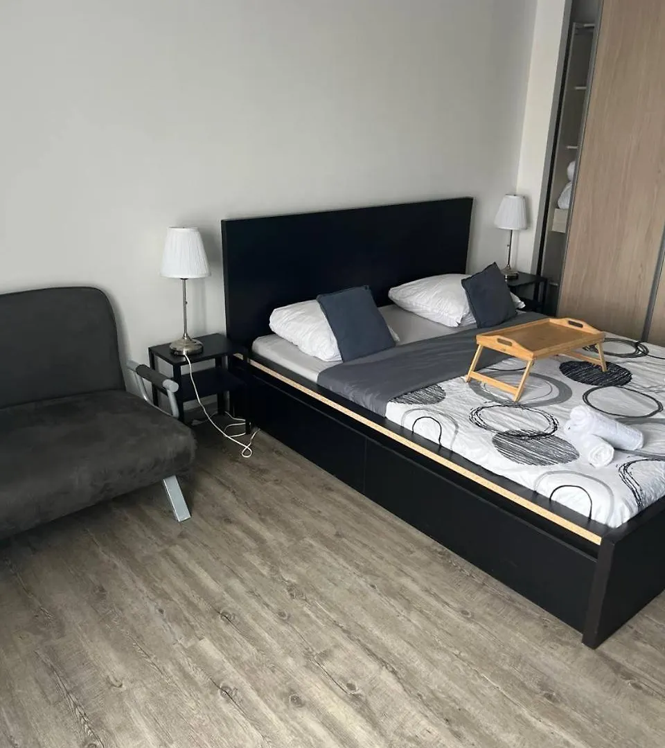 Grand Appartement Brest Pour Max 11 Personnes צרפת